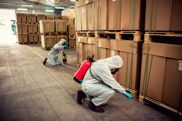 Best Pest Control Near Me  in Walterboro, SC