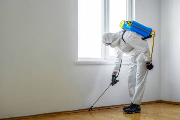 Best Commercial Pest Control Services  in Walterboro, SC