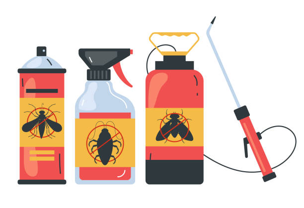 Professional Pest Control in Walterboro, SC