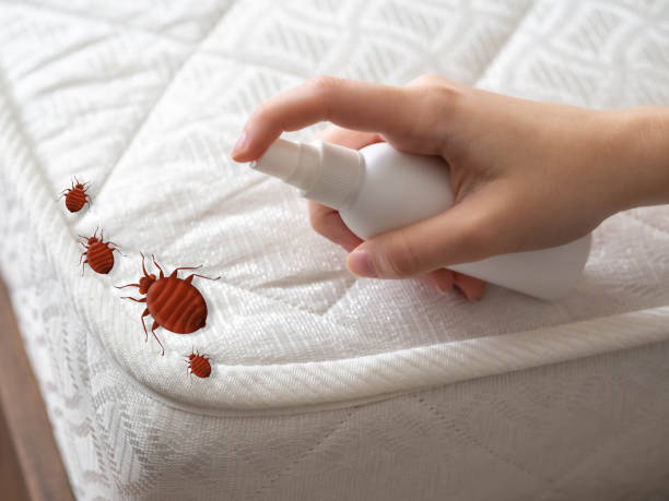 Best Best Pest Control Companies  in Walterboro, SC