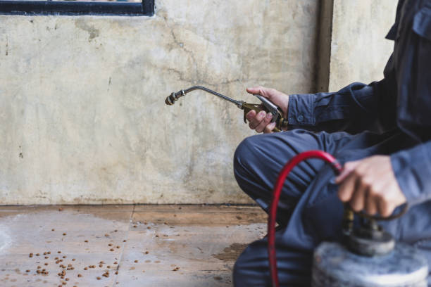 Best Ant Control Services  in Walterboro, SC