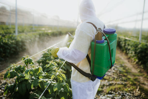 Best Cockroach Control Services  in Walterboro, SC